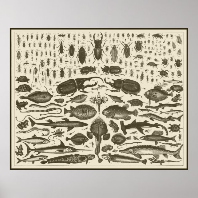 C   R   I   T   T   E   R   S POSTER (Front)