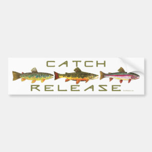 C & R - Trout Bumper Sticker