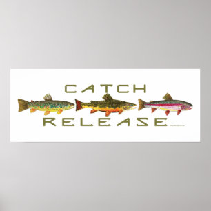 . C & R - Trout Poster
