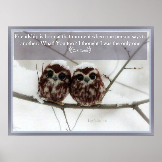 C. S. Lewis and the Owls Poster (Front)