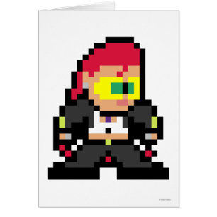 c. Viper à 8 bits
