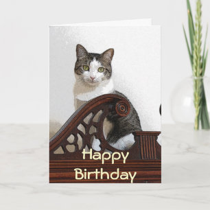 CA- Birthday Kitty Card