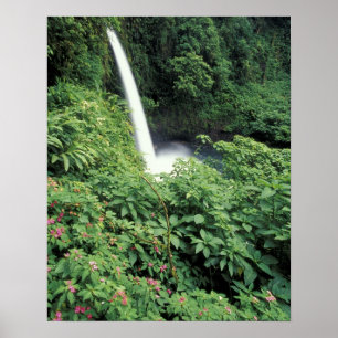CA, Costa Rica. La Paz waterfall and impatients Poster