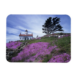 CA, Crescent City, Battery Point lighthouse with Magnet