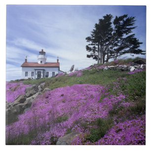 CA, Crescent City, Battery Point lighthouse with Tile