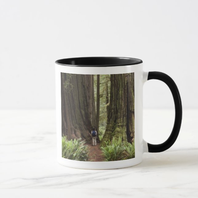CA, Jedediah Smith Redwoods State Park, Mug (Right)
