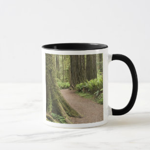 CA, Jedediah Smith State Park, Simpson-Reed Mug