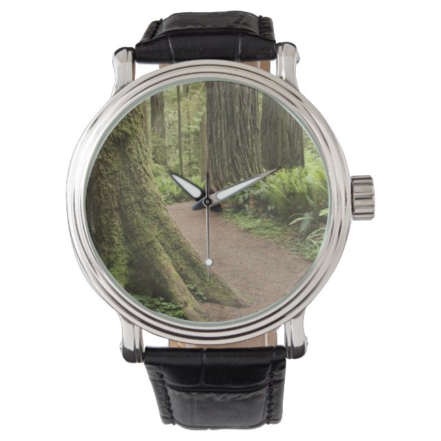 CA, Jedediah Smith State Park, Simpson-Reed Watch (Front)
