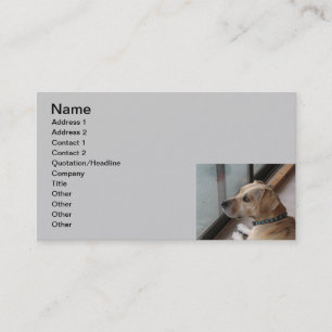 CA- Pet Sitting Business Cards
