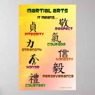Ça Signifie Poster Des Arts Martiaux