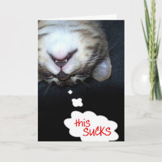 Ça Sucre ! Obtenez une carte Well Kitty