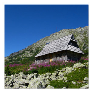 Cabane dans la vallée des Cinq Étangs, Poster de T