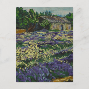 Cabanon dans la lavande postcard