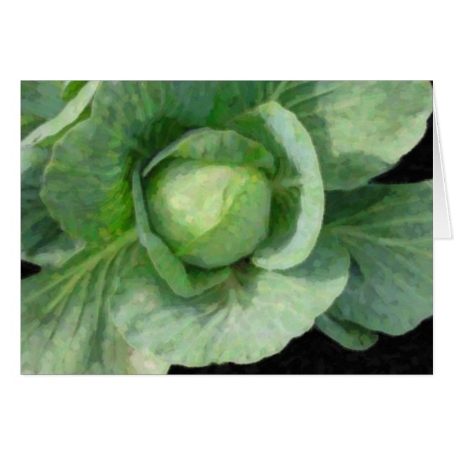 Cabbage (Front Horizontal)