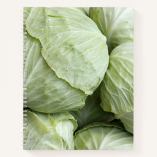 cabbage3 notebook