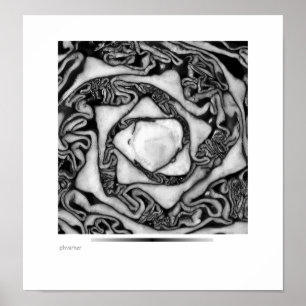 cabbage, black and white poster