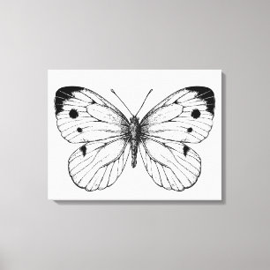 Cabbage butterfly canvas print