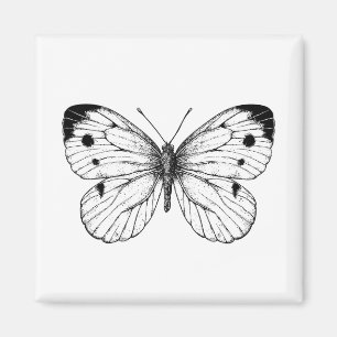 Cabbage butterfly magnet