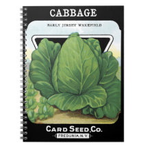 Cabbage Card Seed Co. packet Fredonia, NY Vintage
