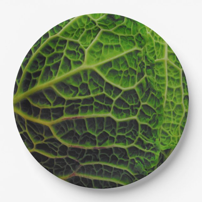 CABBAGE PAPER PLATE (Front)