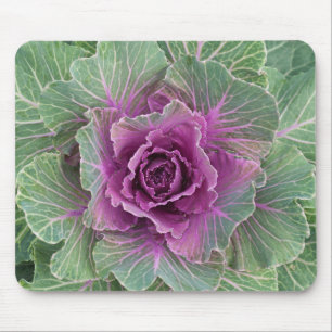 Cabbage Plant Mouse Pad