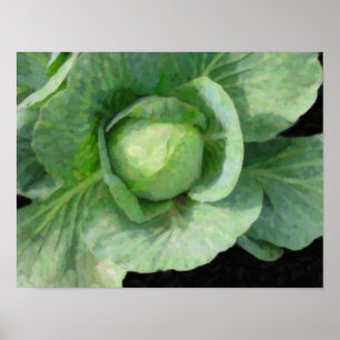 Cabbage Poster
