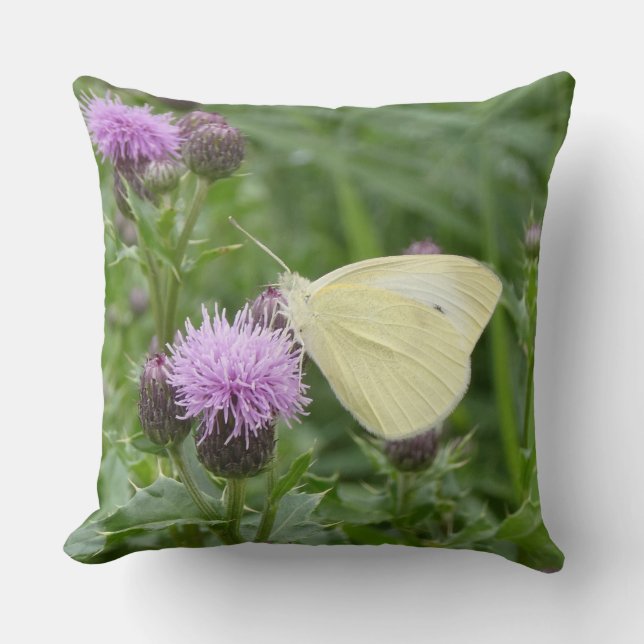 Cabbage White on Purple Thistle Throw Pillow (Front)
