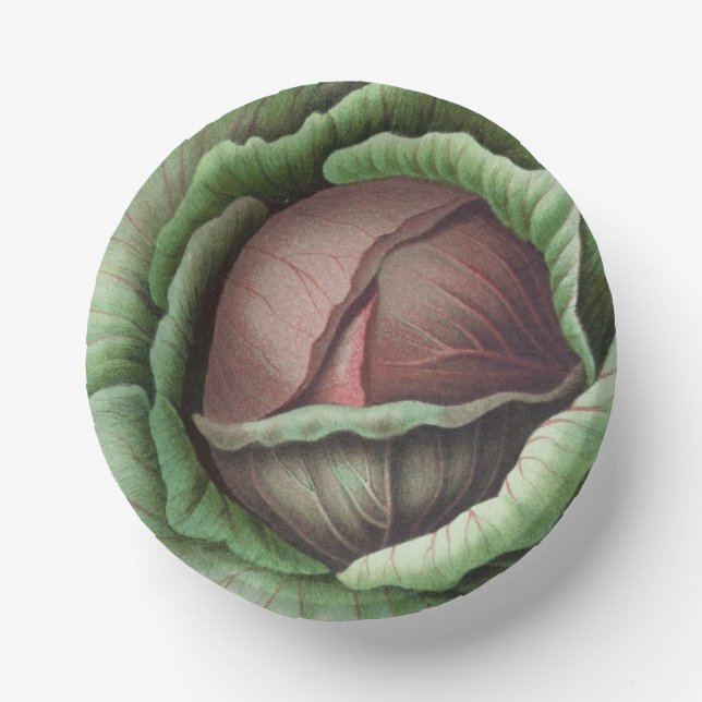 Cabbageware Paper Bowl Plate (Front)