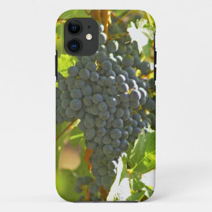 Cabernet Sauvignon grape bunch in the Chateau iPhone 11 Case