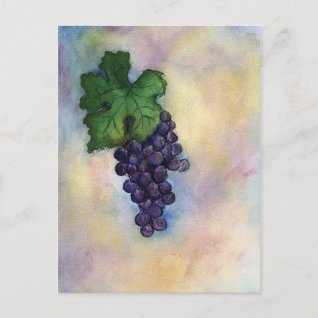 Cabernet Sauvignon Red Wine Grapes Postcard (Front)