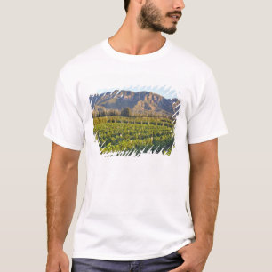 Cabernet Sauvignon vines in Huailai Rongchen 2 T-Shirt