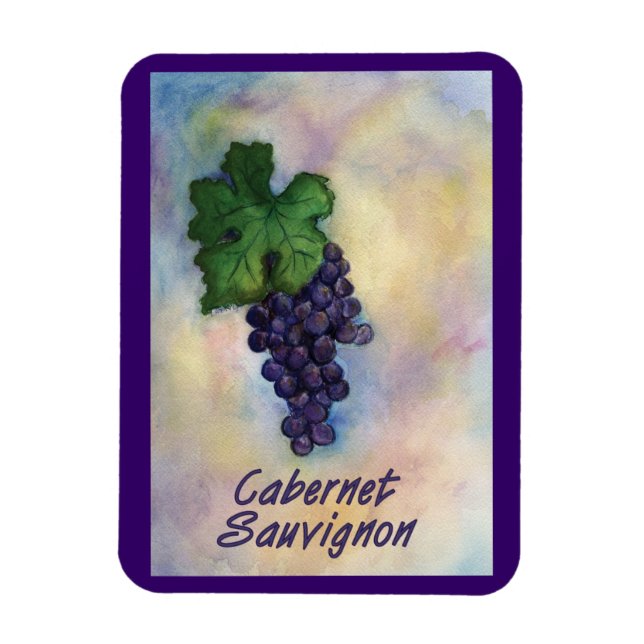 Cabernet Sauvignon Vins Raisins Peinture Magnet d' (Vertical)