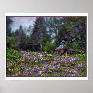 Cabin in the Lupine Poster
