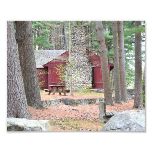 Cabine Dans Les Bois Photo Print