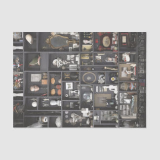 Cabinet of Curiosities Shelves Tissue Paper