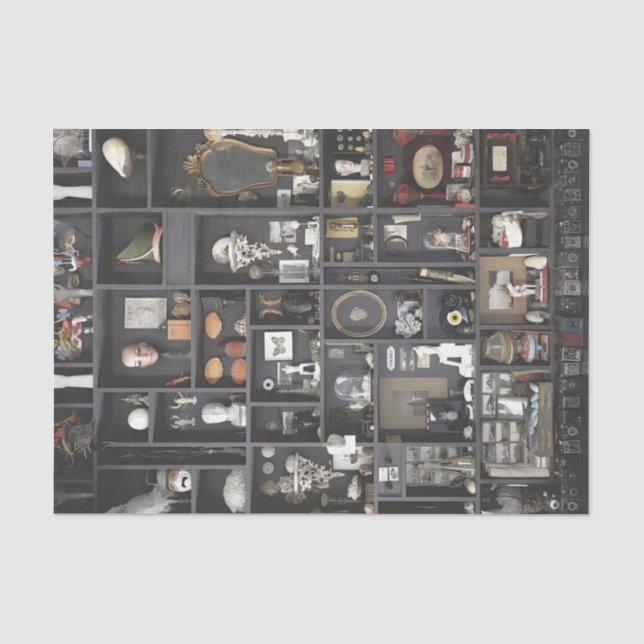 Cabinet of Curiosities Shelves Tissue Paper (Front)