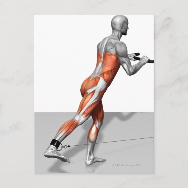 Cable Skater Exercise Postcard (Front)