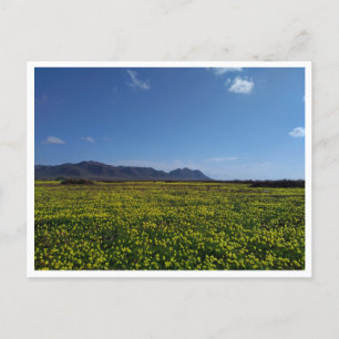 Cabo de Gata, Andalusia (Spain) Postcard