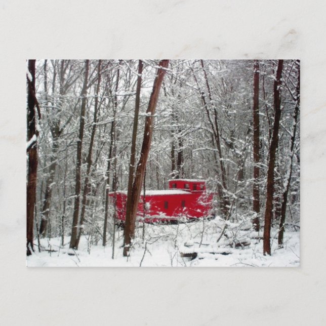 Cabot rouge, cartes de Noël (Devant)