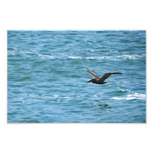 Cabrillo National Monument  Photo Print
