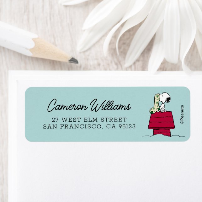 cacahuètes | 'C'est la saison! (En situation)