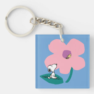 cacahuètes   Illustration Nature Rose Flower
