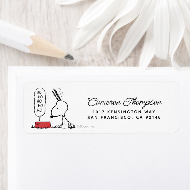 cacahuètes | Snoopy Ho Ho Ho Plat alimentaire (En situation)