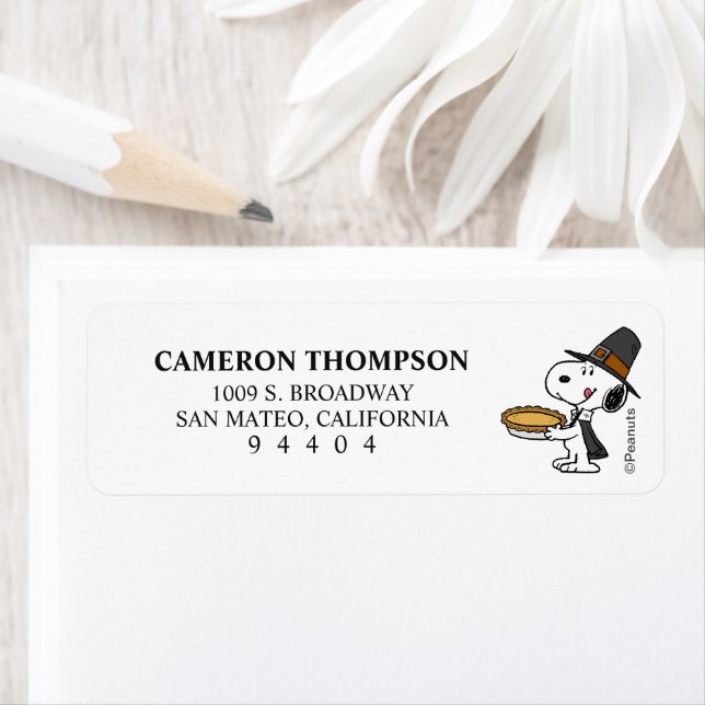 cacahuètes | Snoopy Pilgrim (En situation)