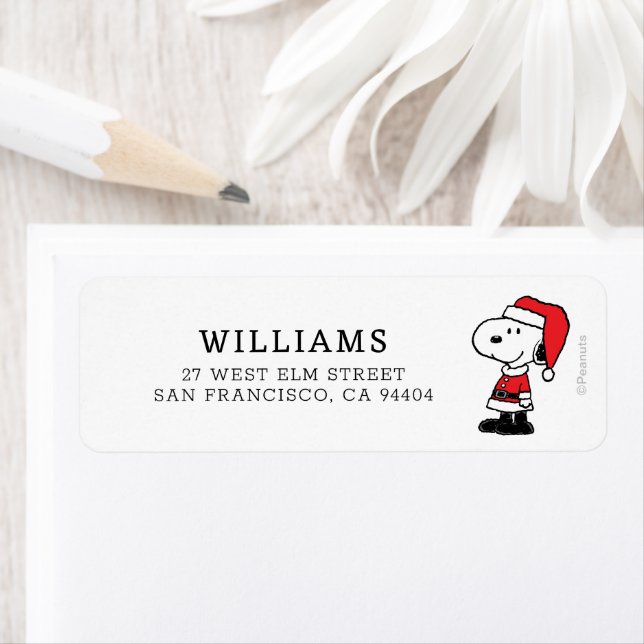 cacahuètes | Snoopy Santa Claus (En situation)