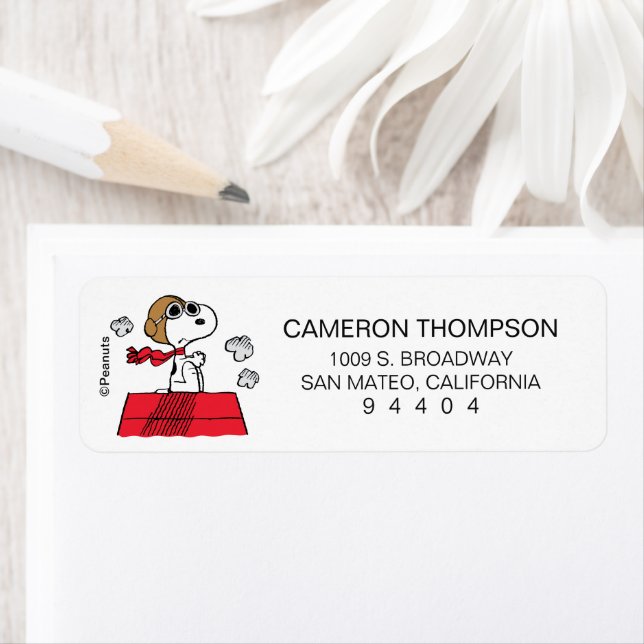 cacahuètes | Snoopy the Flying Ace (En situation)