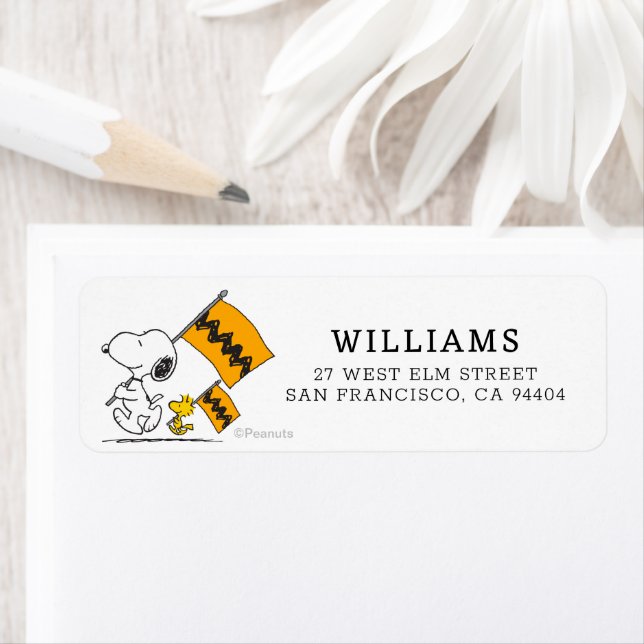 cacahuètes | Snoopy & Woodstock (En situation)