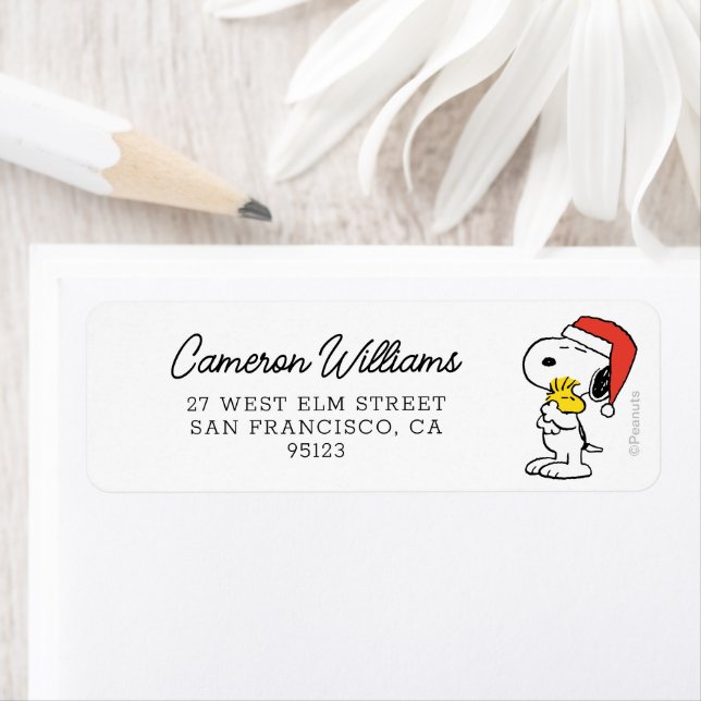 cacahuètes | Snoopy & Woodstock (En situation)