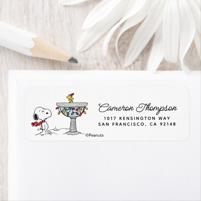 cacahuètes | Snoopy & Woodstock Froid Birdbath (En situation)