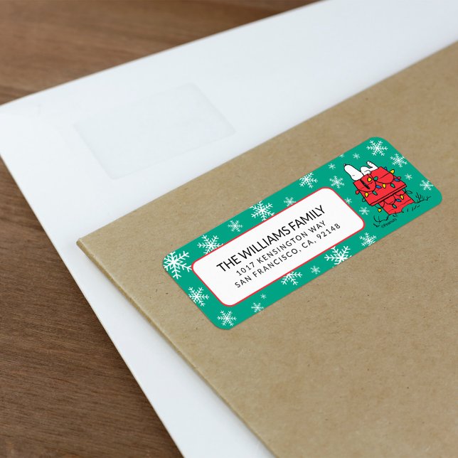 cacahuètes | Snoopy's Doghouse With Lights (Label on envelope)